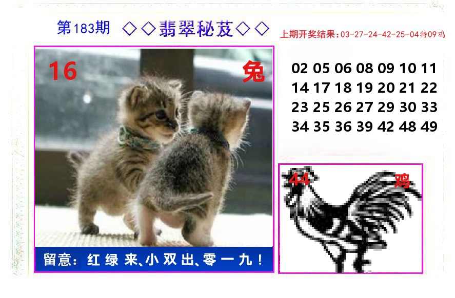 翡翠秘芨 第183期