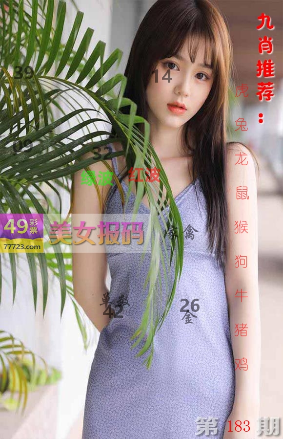 美女报码 第183期