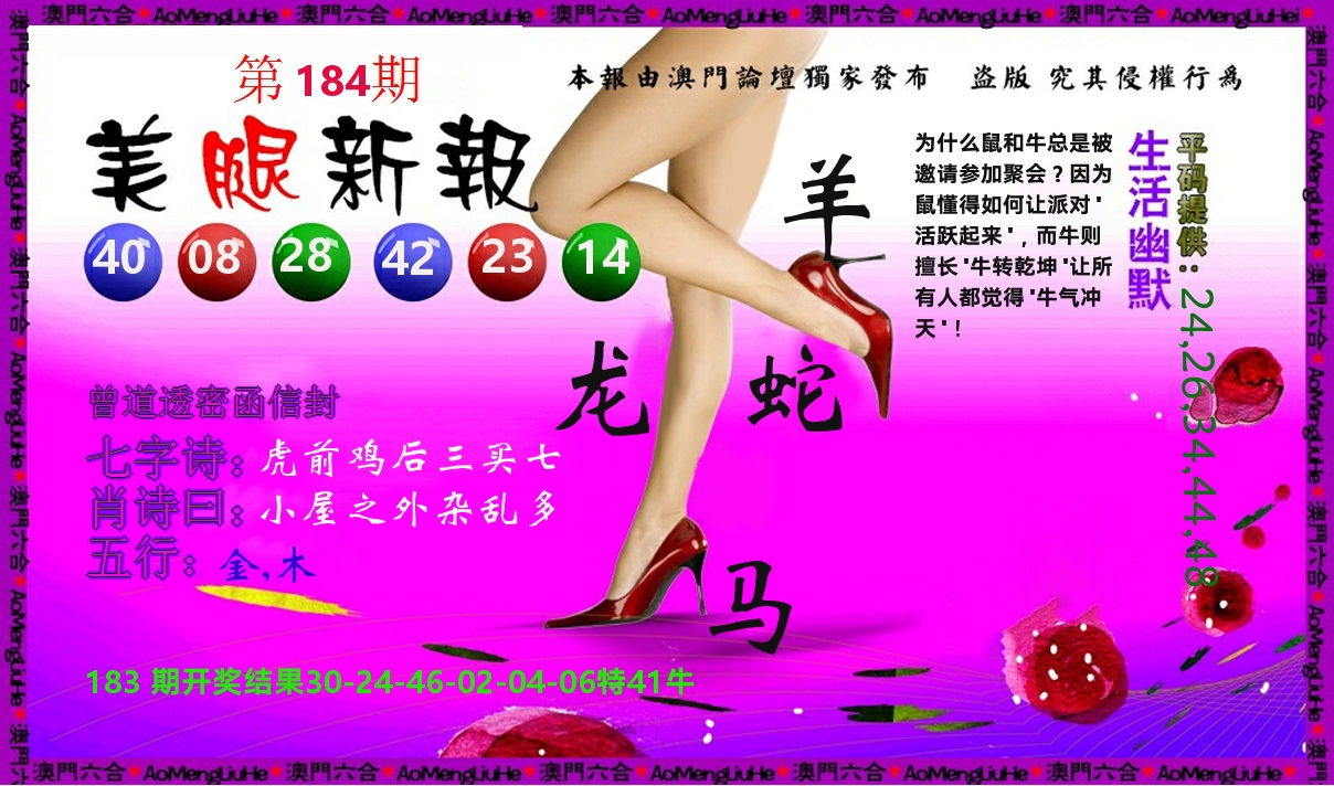 美腿新报 第184期