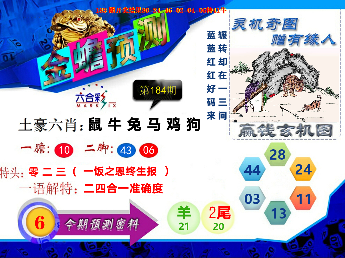 金蟾预测 第184期