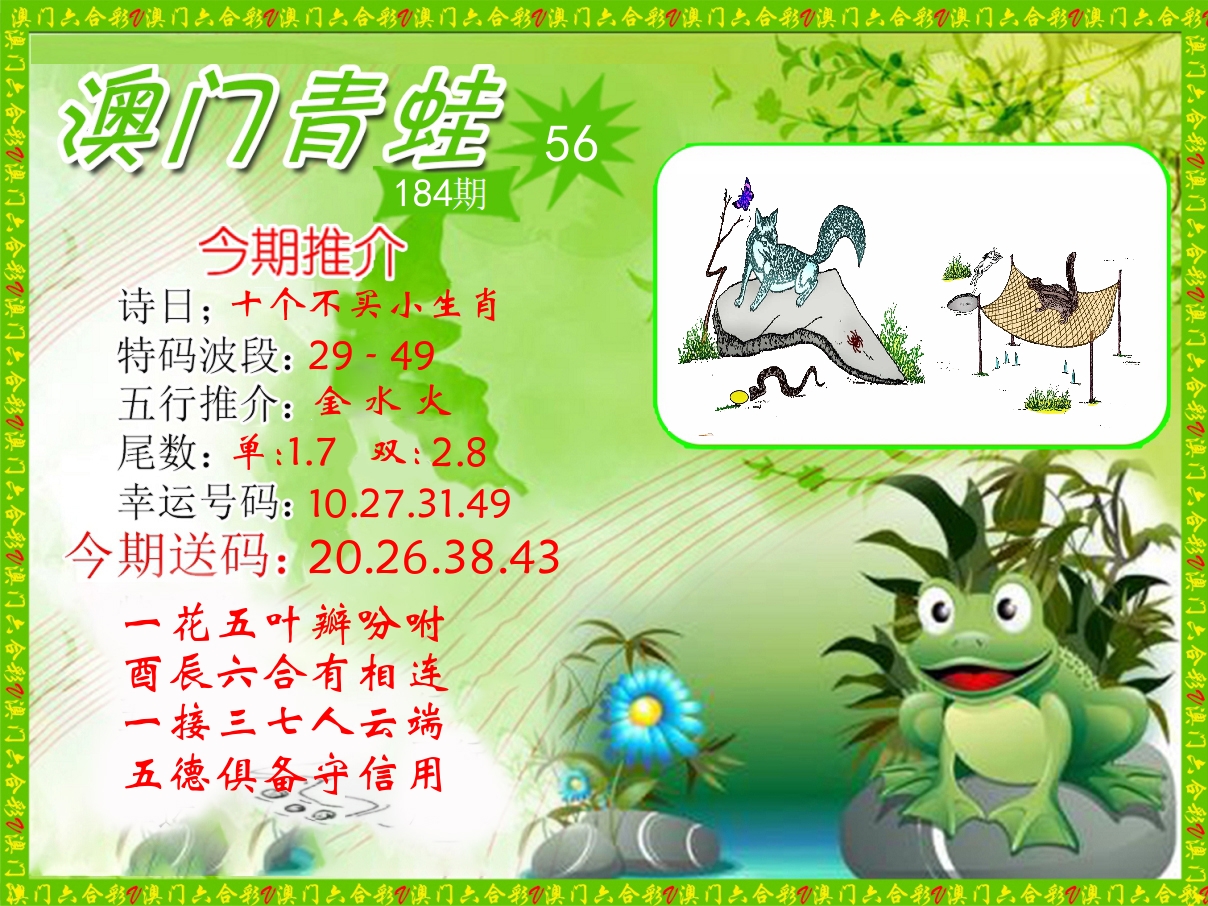 青蛙系列56 第184期