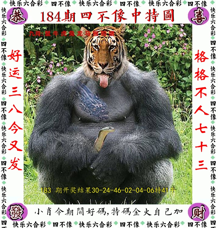 四不像 第184期