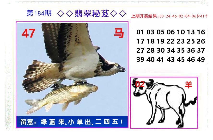 翡翠秘芨 第184期