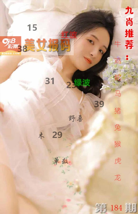 美女报码 第184期