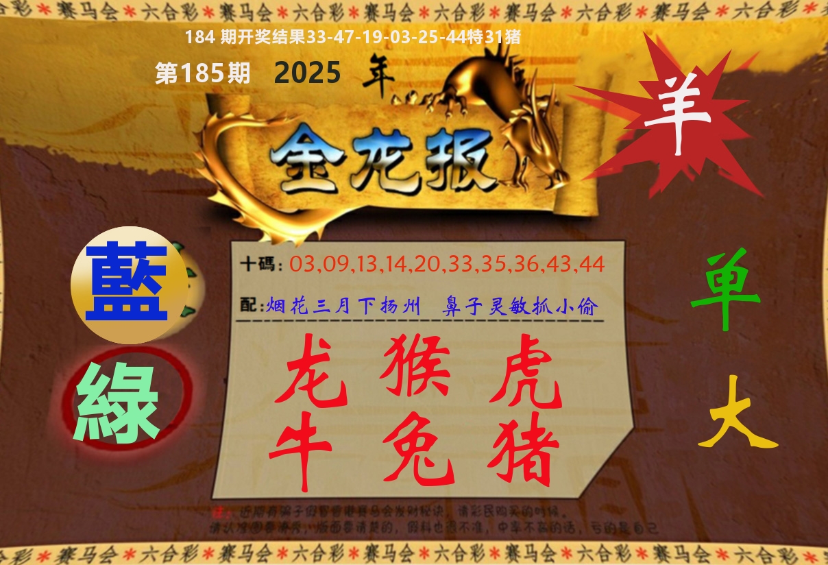 金龙报 第185期