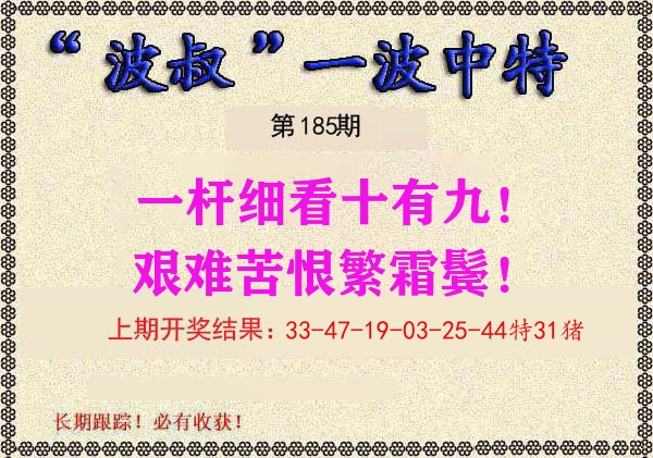 波叔中特 第185期