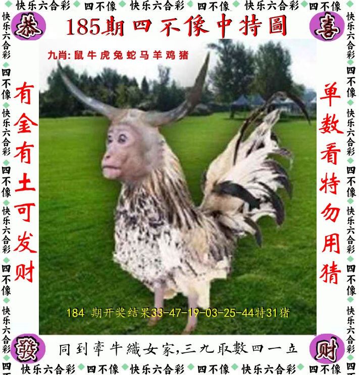 四不像 第185期