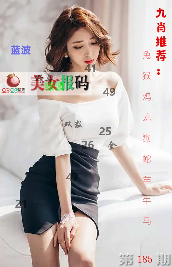 美女报码 第185期
