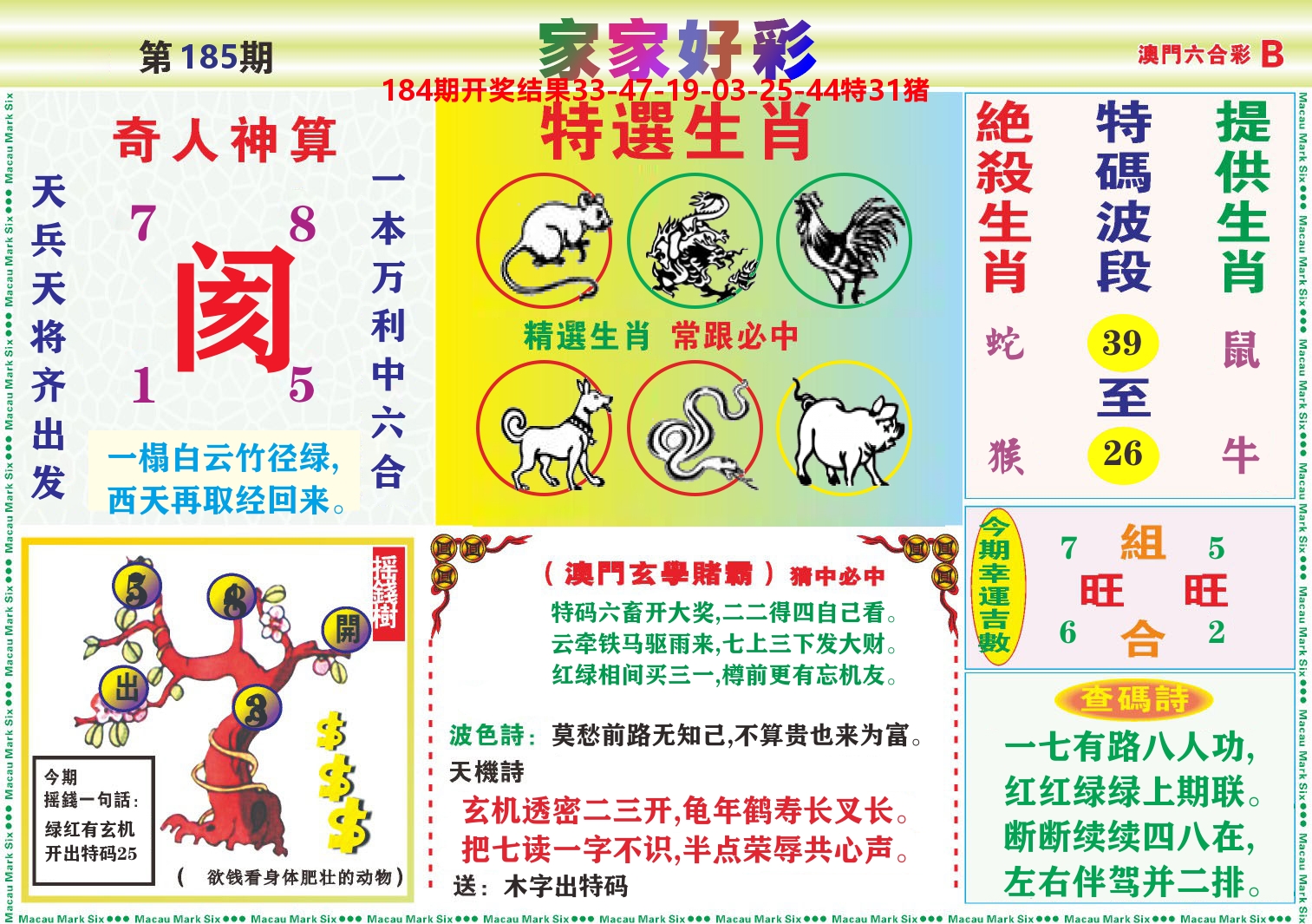 家家好彩B 第185期
