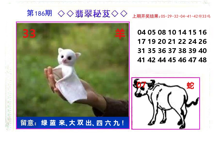 翡翠秘芨 第186期
