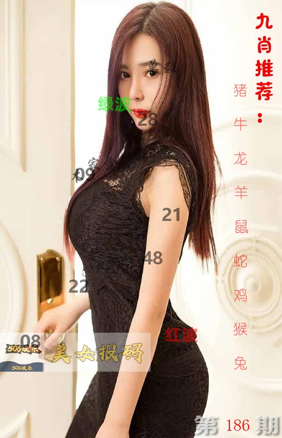 美女报码 第186期
