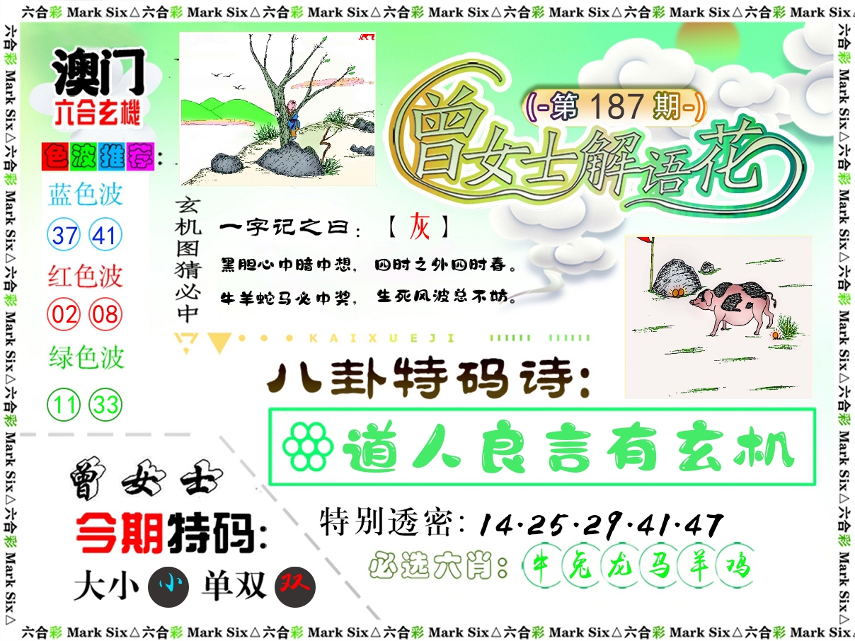 曾女士解语花 第187期