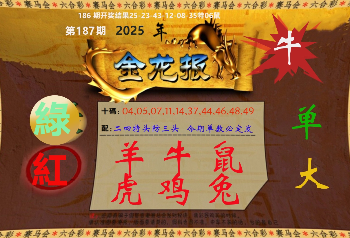 金龙报 第187期