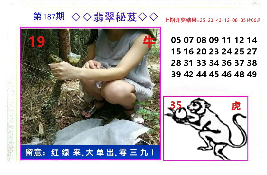 翡翠秘芨 第187期