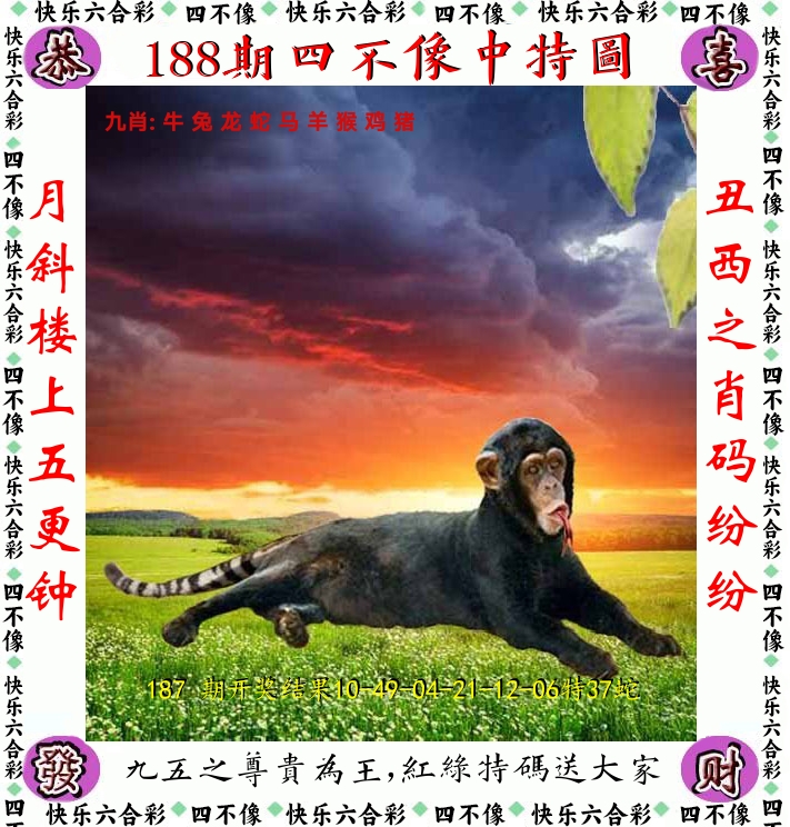 四不像 第188期