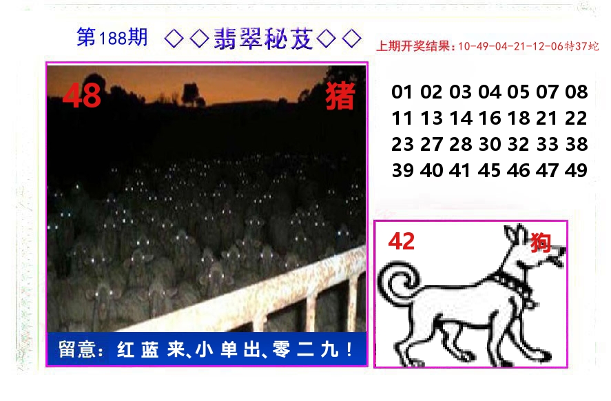翡翠秘芨 第188期
