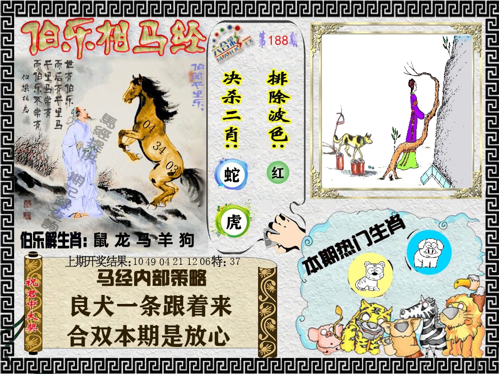 伯乐相马经 第188期