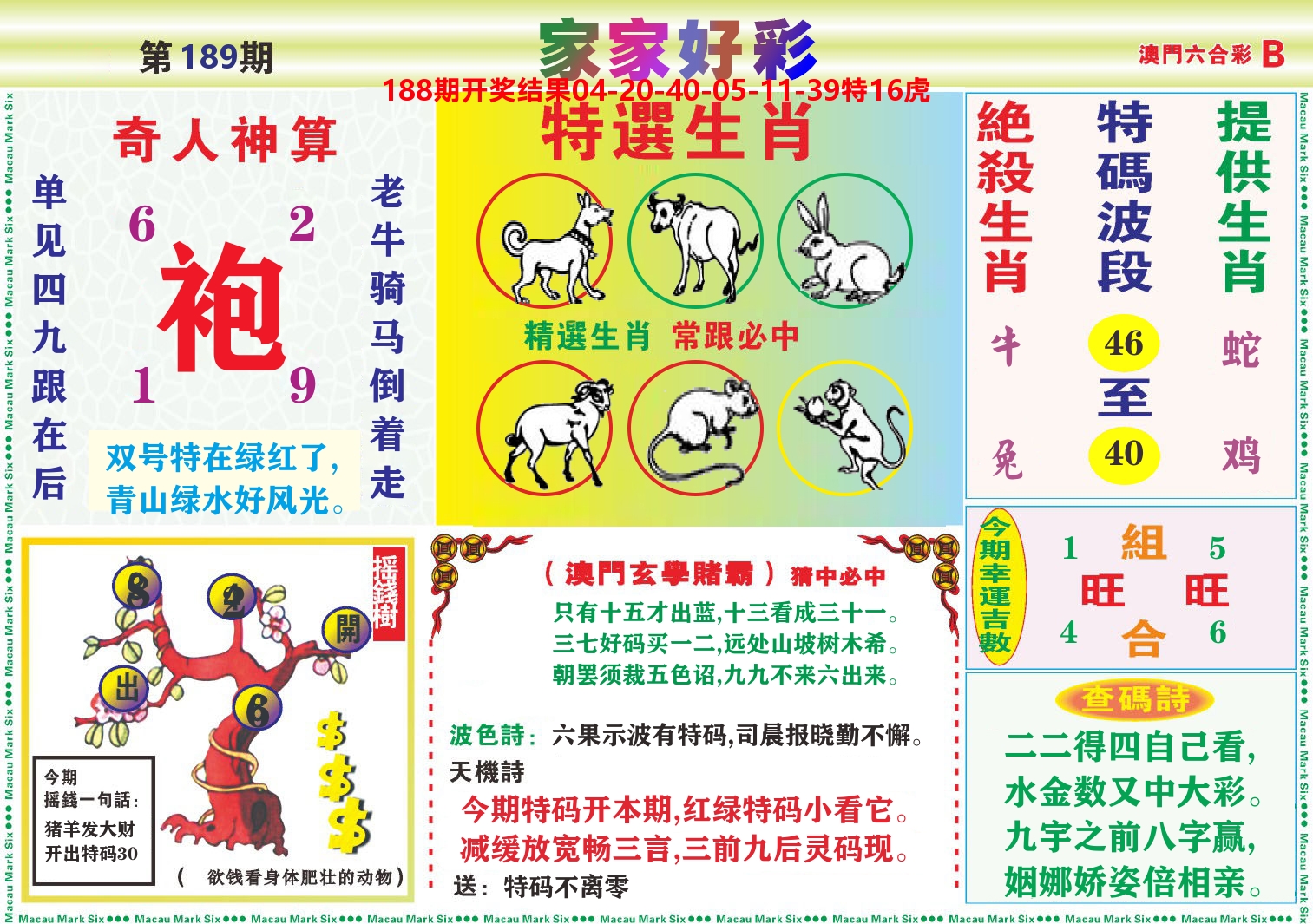 家家好彩B 第189期