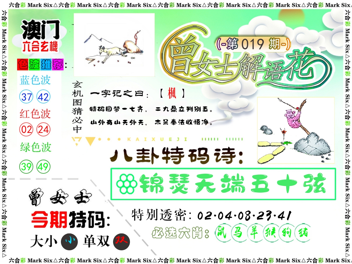 曾女士解语花 第19期