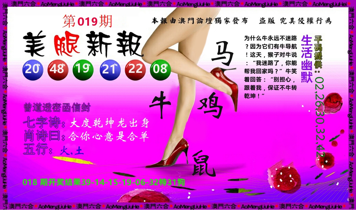 美腿新报 第19期