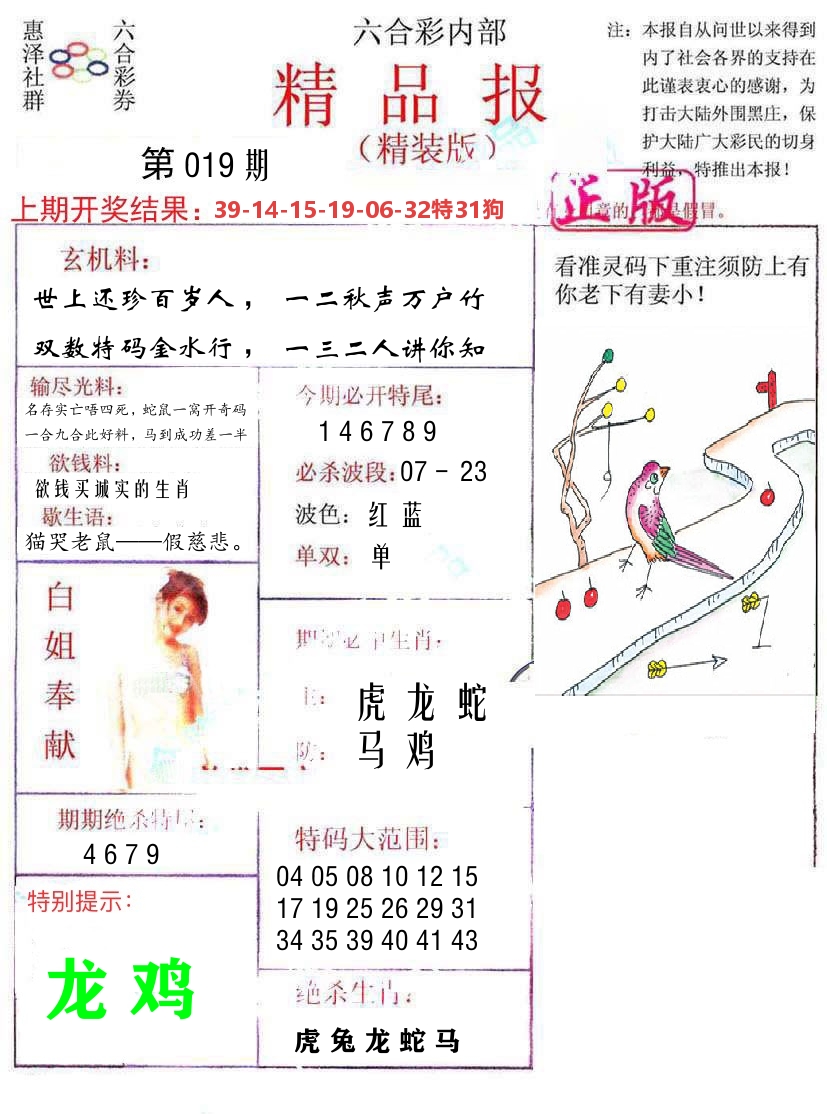 精品报 第19期