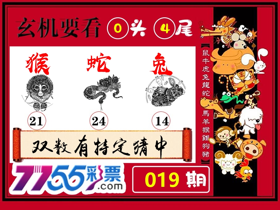 玄机要看 第19期