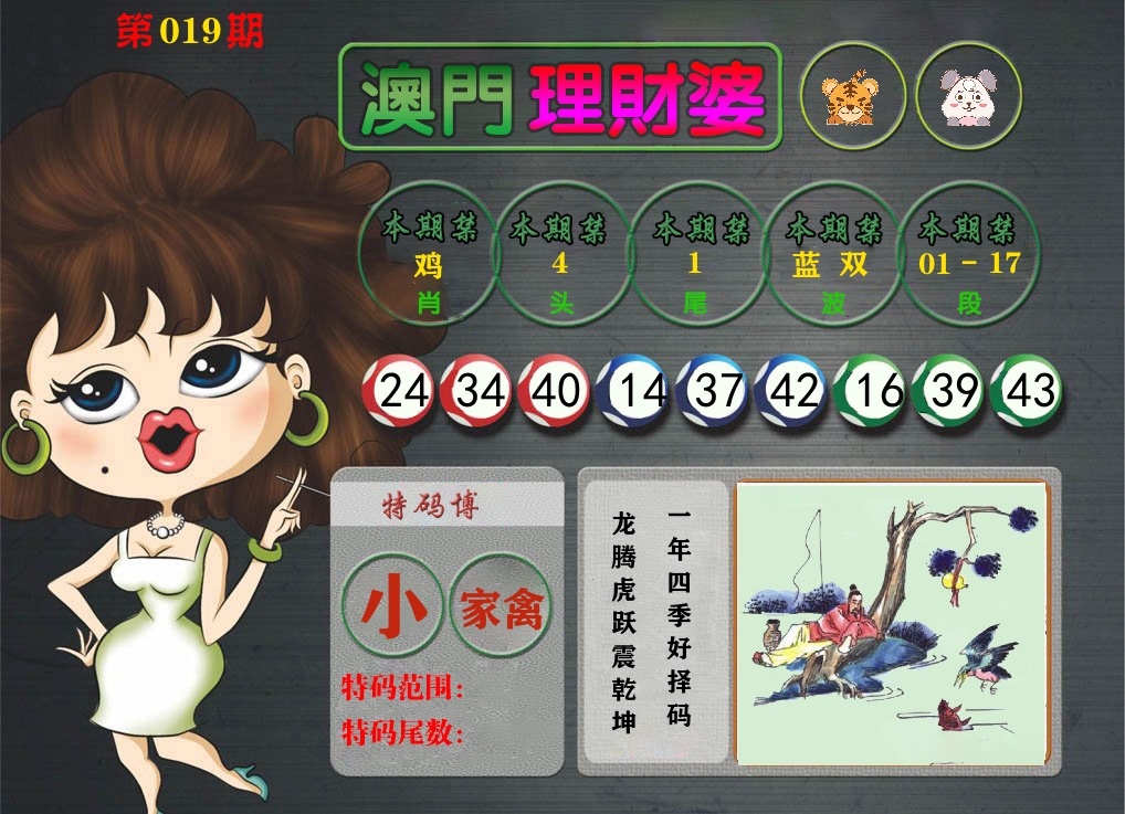 理财婆 第19期