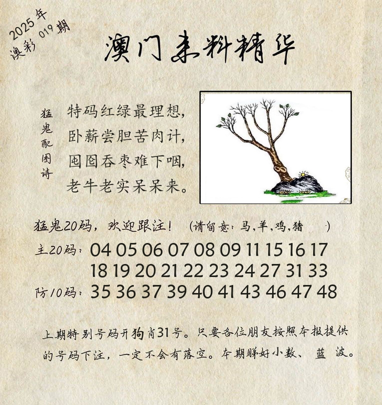 精华来料 第19期