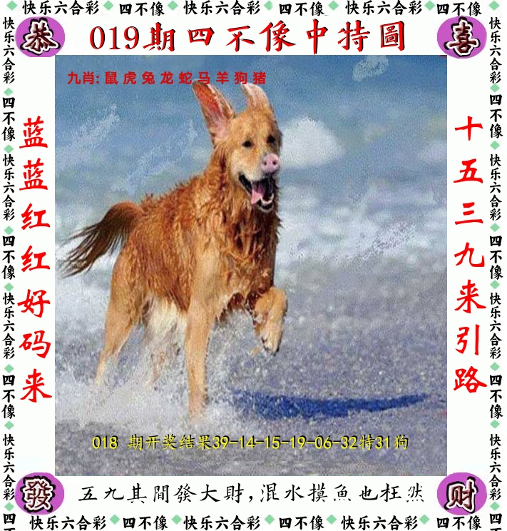 四不像 第19期