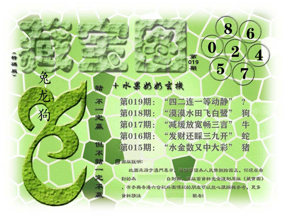 藏宝图奶奶玄机 第19期