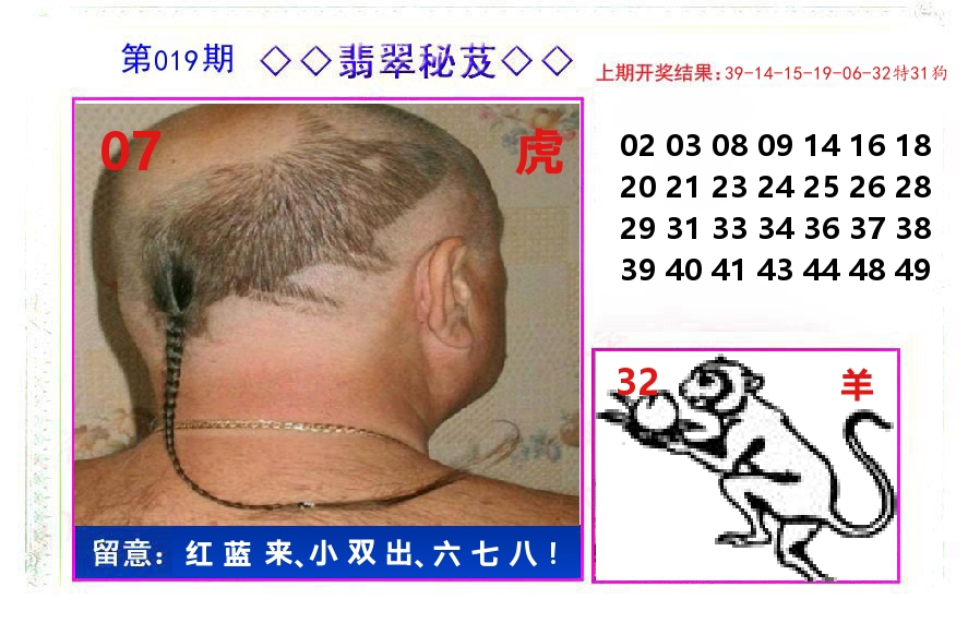 翡翠秘芨 第19期