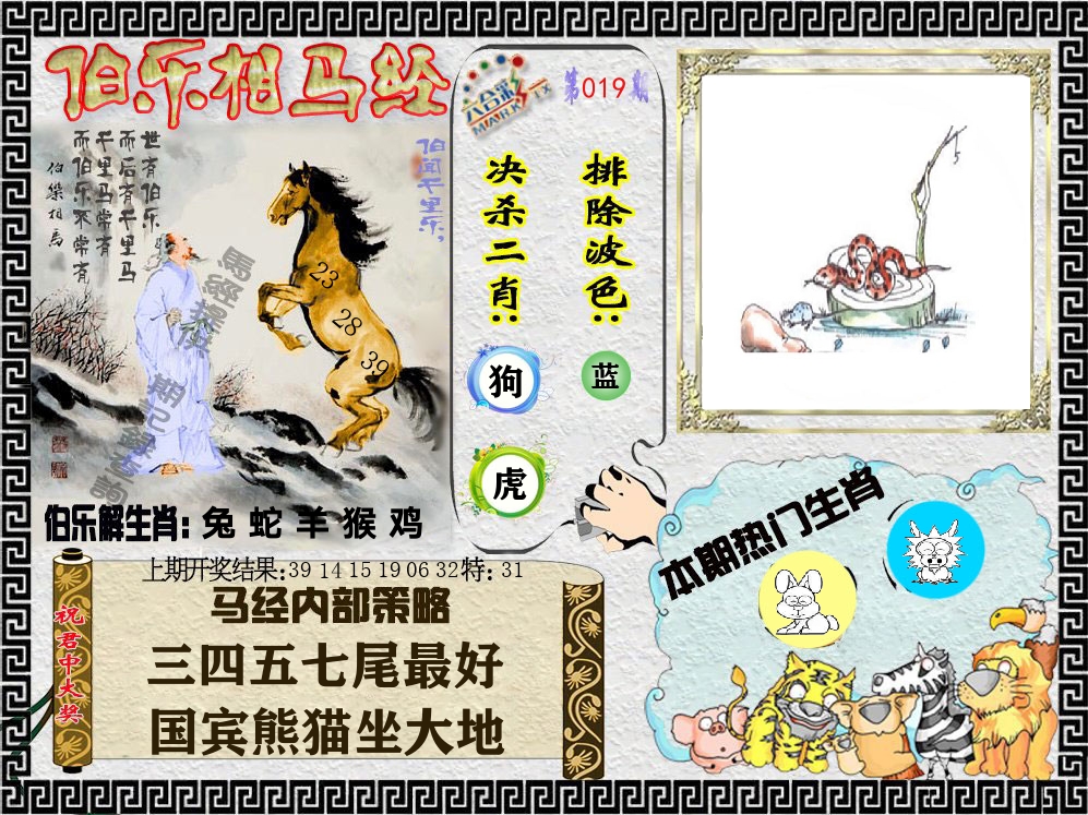 伯乐相马经 第19期