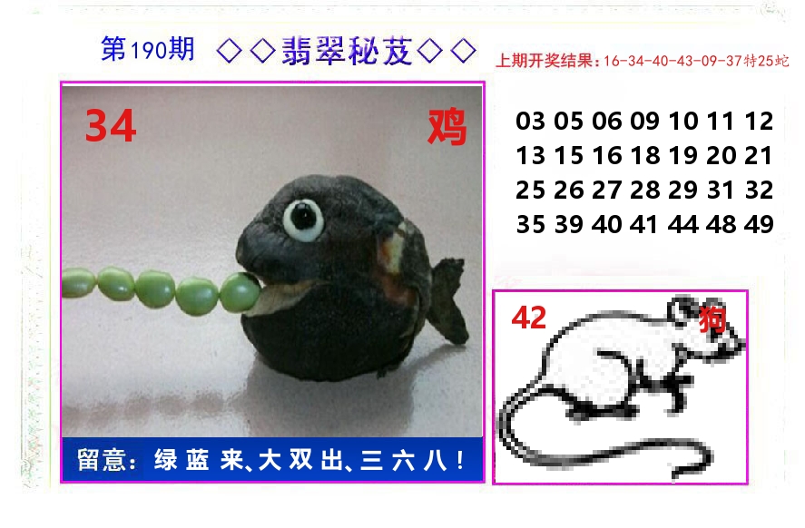 翡翠秘芨 第190期