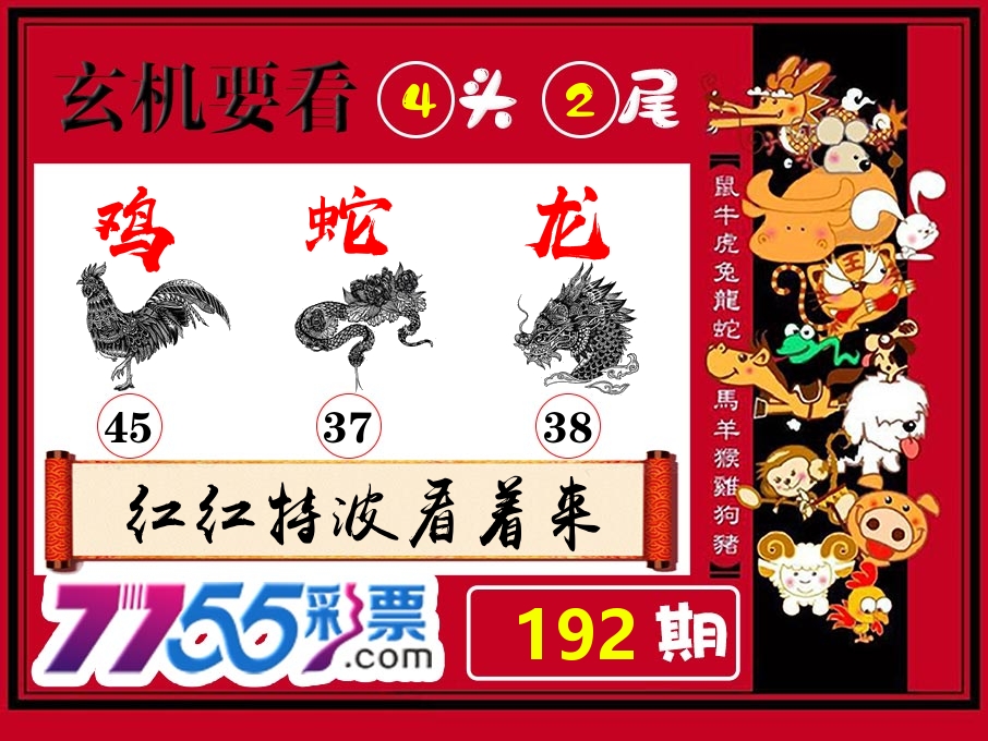 玄机要看 第192期