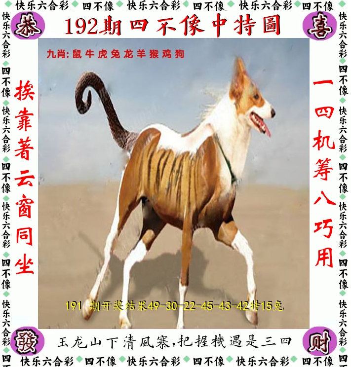四不像 第192期