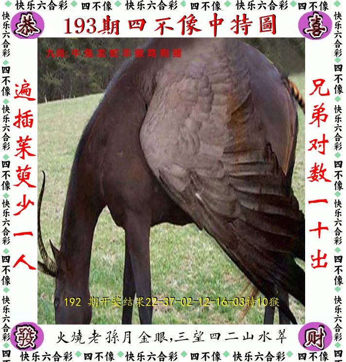 四不像 第193期