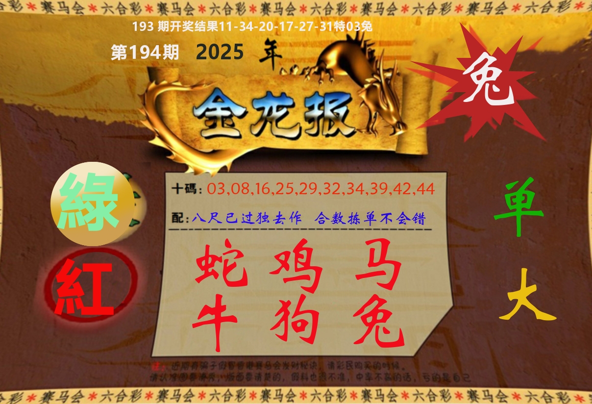 金龙报 第194期