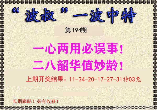 波叔中特 第194期