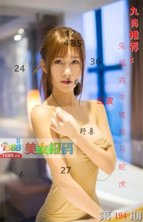 美女报码 第194期