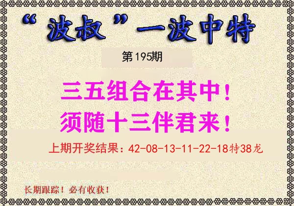 波叔中特 第195期