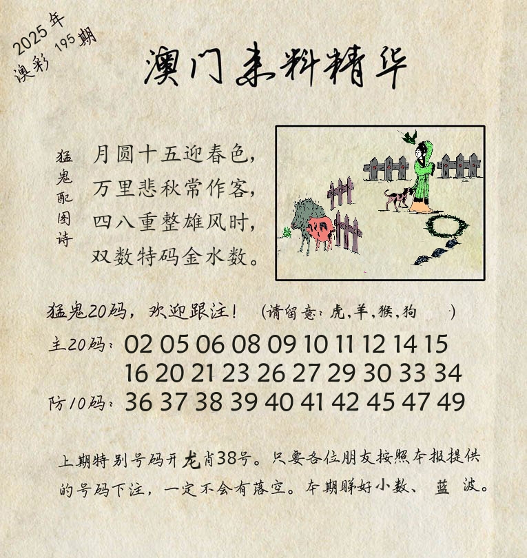 精华来料 第195期