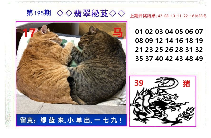 翡翠秘芨 第195期