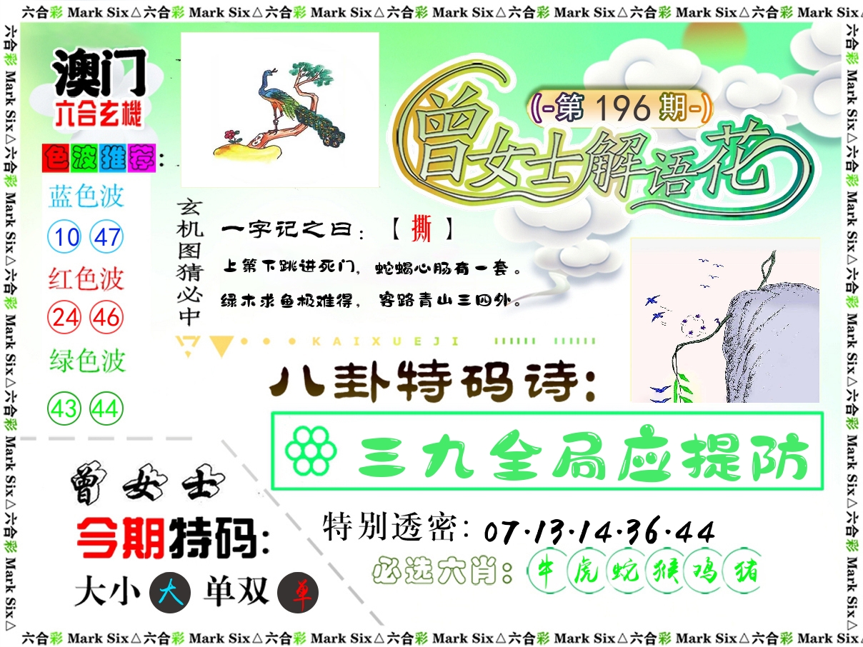 曾女士解语花 第196期