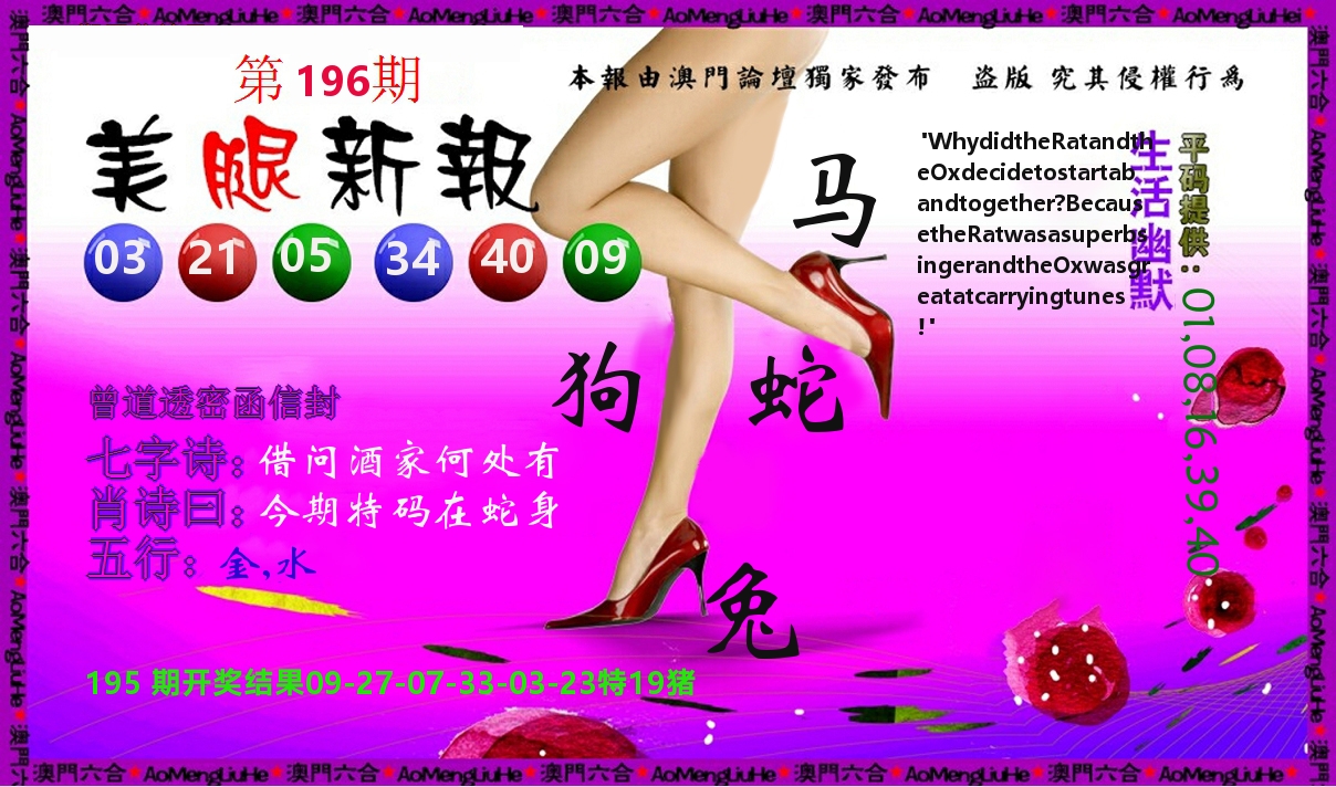 美腿新报 第196期