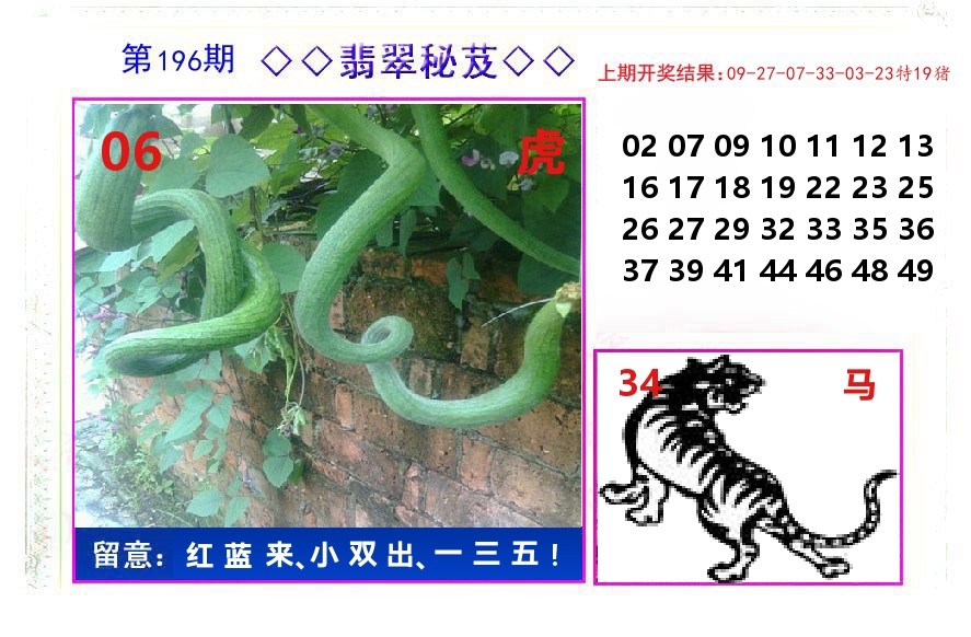 翡翠秘芨 第196期