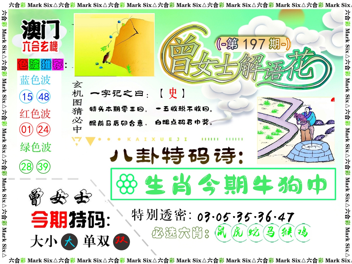 曾女士解语花 第197期