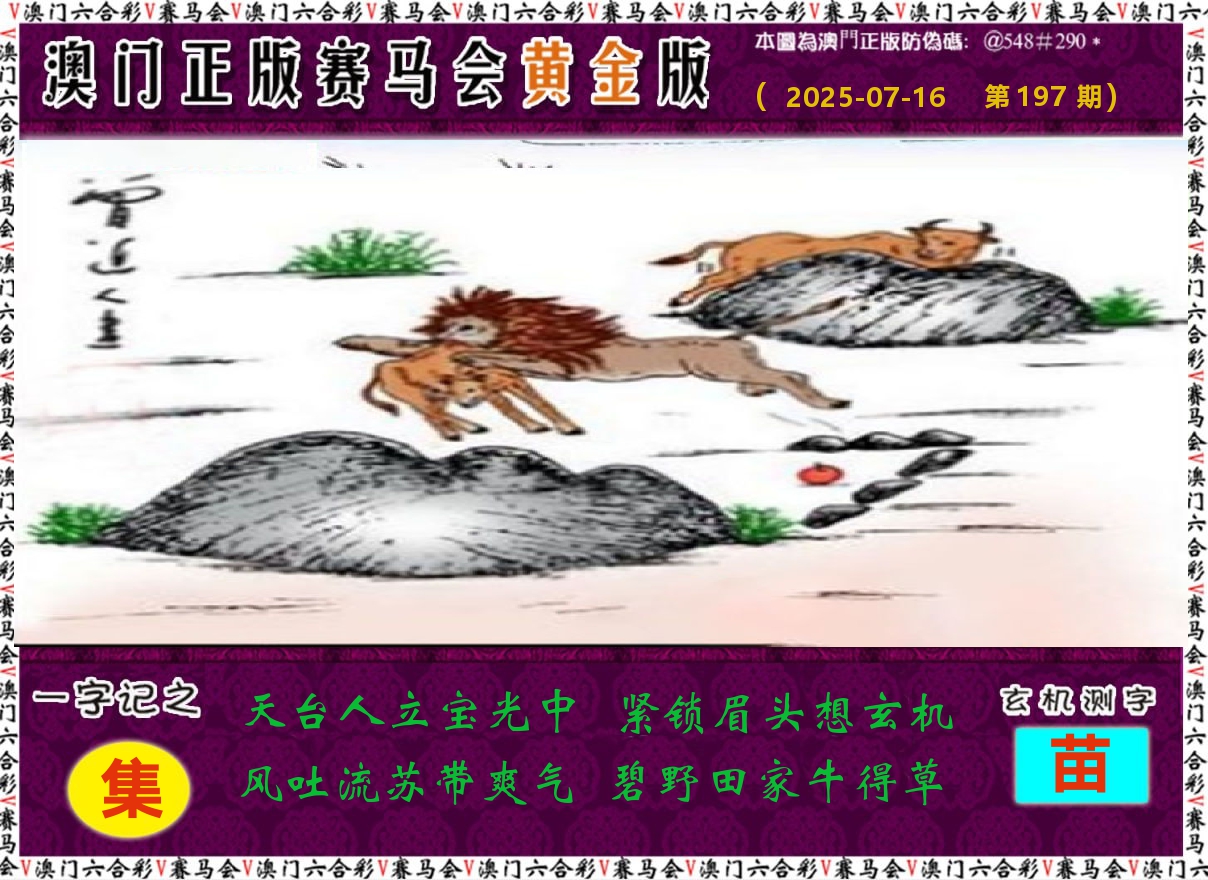 赛马会黄金版 第197期