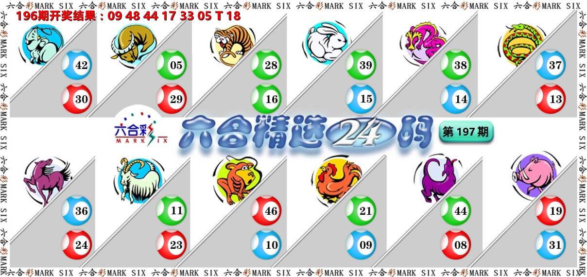 六合精选24码 第197期