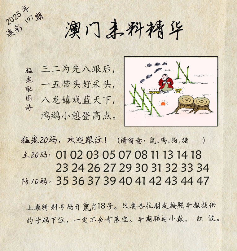 精华来料 第197期