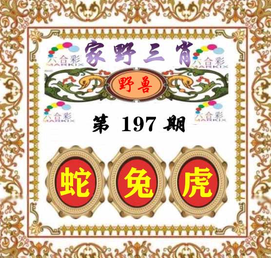 家野三肖 第197期